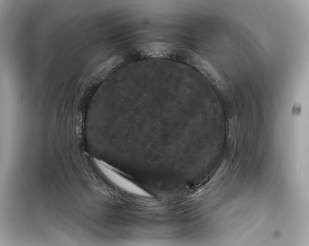 X0000099310073200805161423