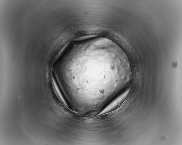 X0000099310074200805161423