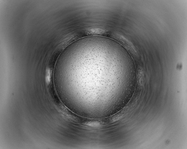 X0000099310075200805161423