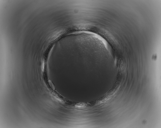 X0000099310076200805161423