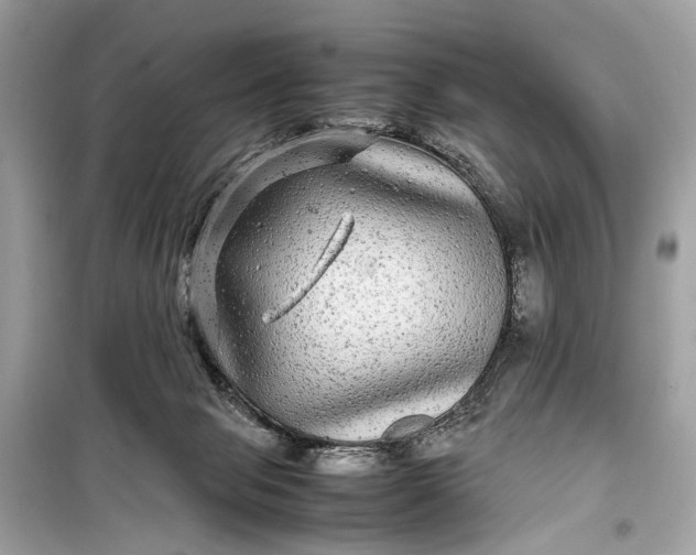 X0000099310077200805161423