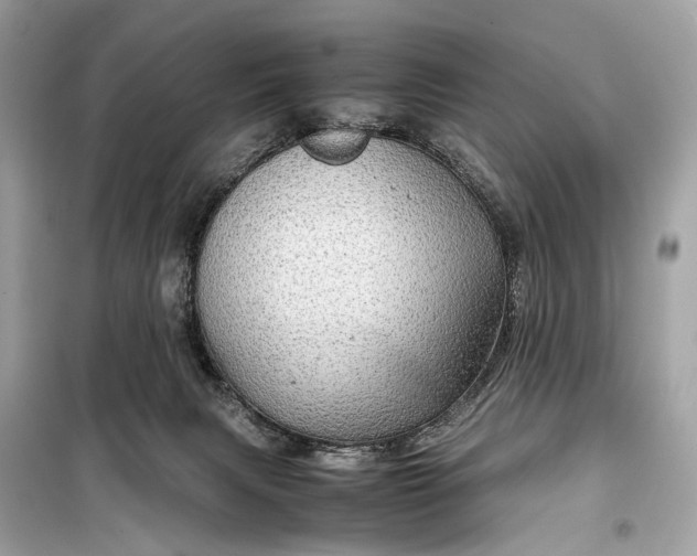 X0000099310079200805161423