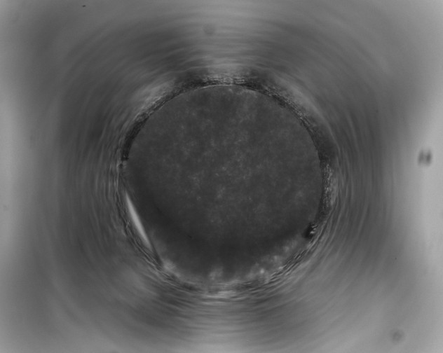 X0000099310080200805161423