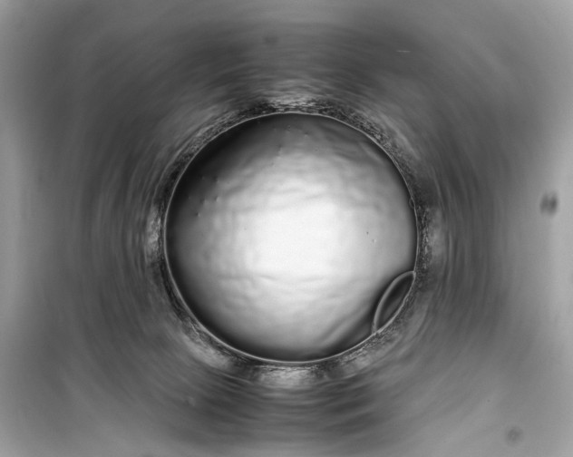 X0000099310081200805161423