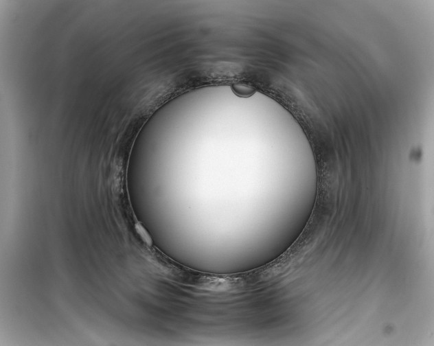 X0000099310083200805161423