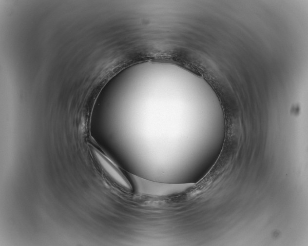 X0000099310084200805161423