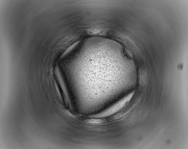 X0000099310085200805161423