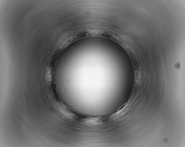 X0000099310086200805161423