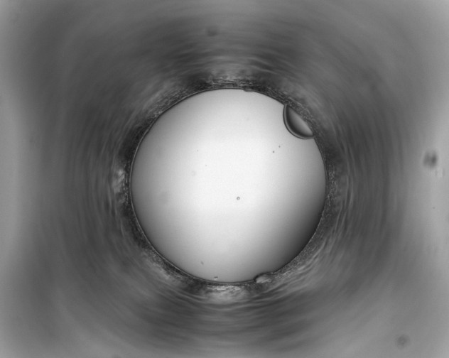 X0000099310087200805161423