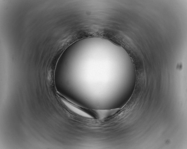 X0000099310088200805161423