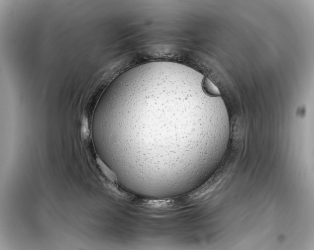 X0000099310089200805161423