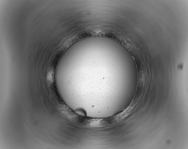 X0000099310090200805161423