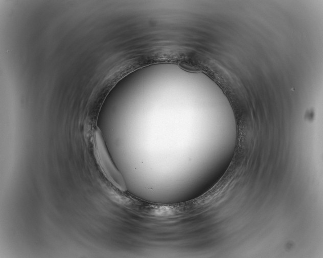 X0000099310091200805161423