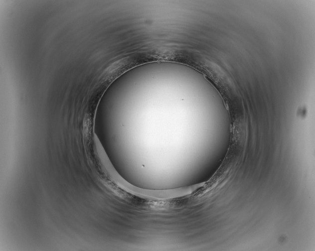 X0000099310092200805161423