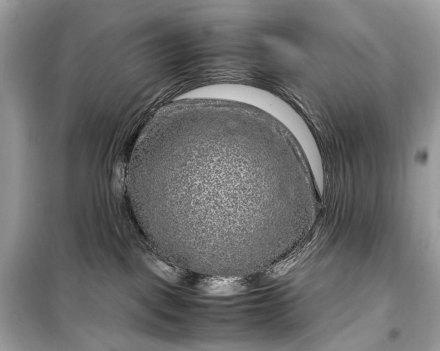 X0000099310093200805161423