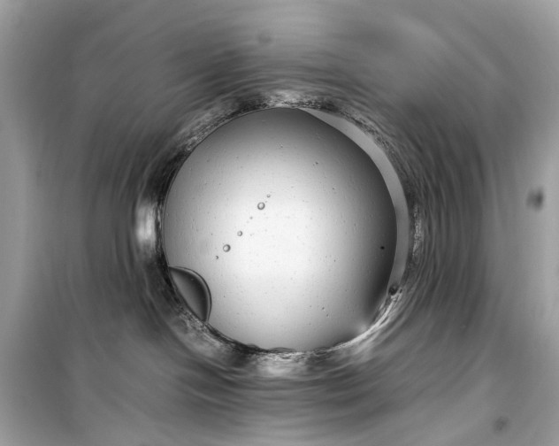 X0000099310094200805161423