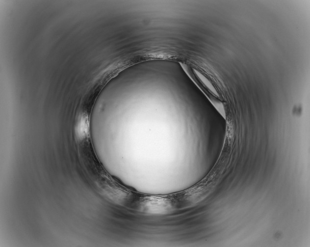 X0000099310095200805161423