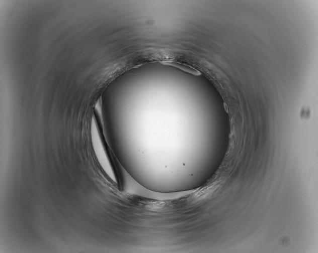 X0000099310096200805161423