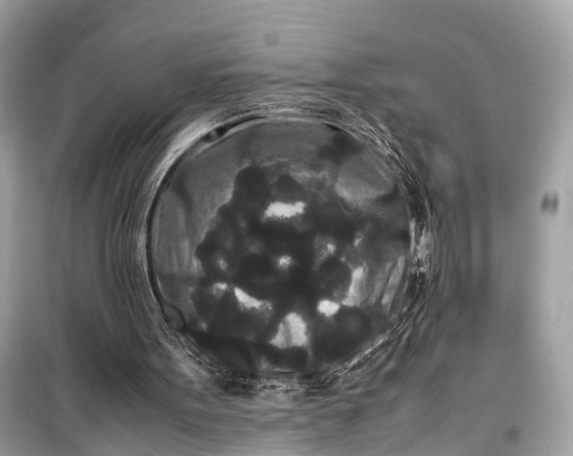 X0000099310099200805161422