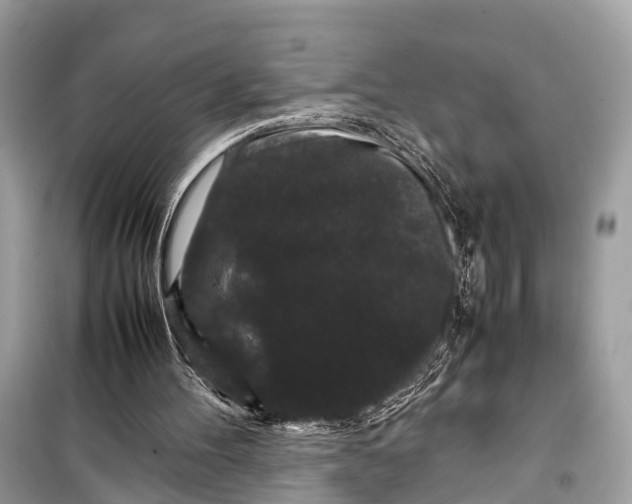 X0000099310100200805161422