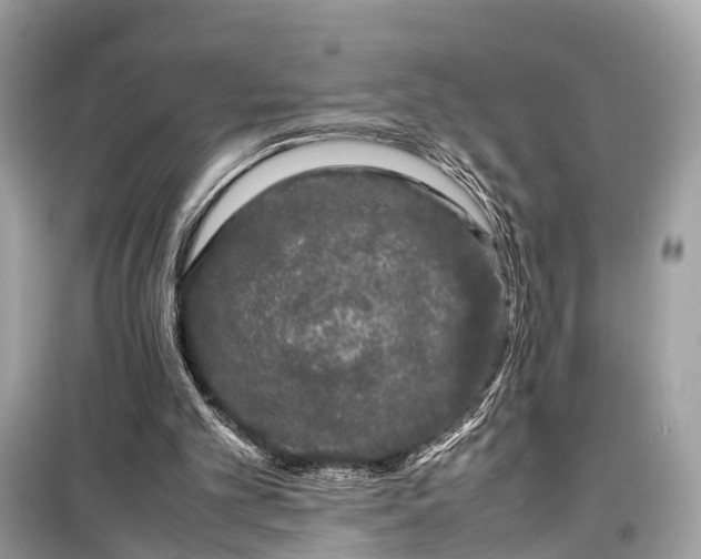 X0000099310101200805161422