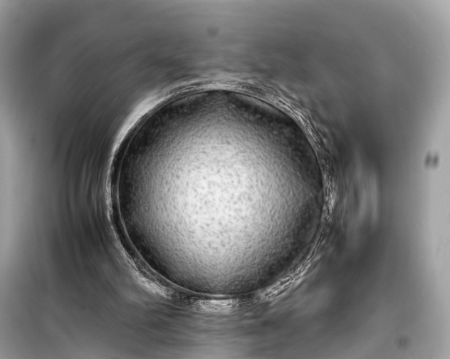 X0000099310102200805161422