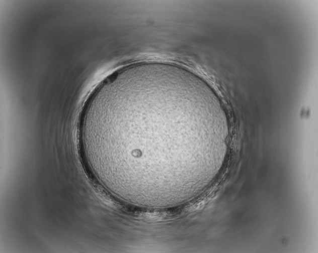 X0000099310103200805161422