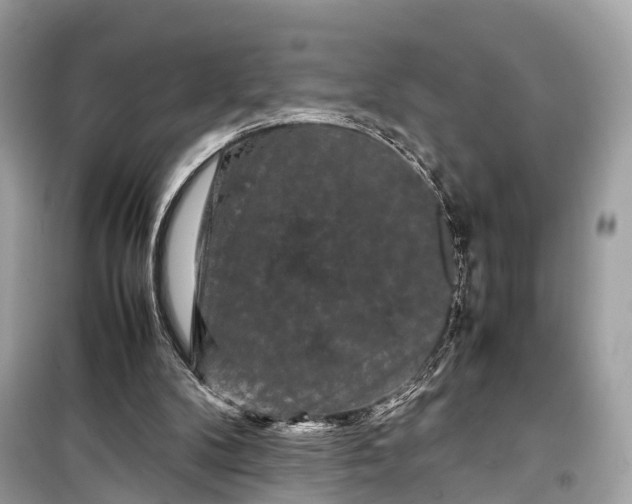 X0000099310104200805161422