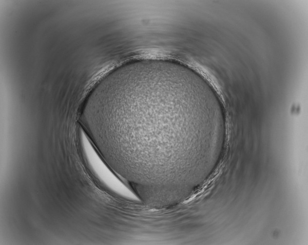 X0000099310105200805161422