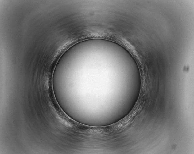 X0000099310106200805161422