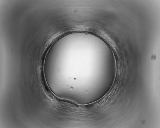 X0000099310107200805161422