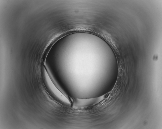 X0000099310108200805161422