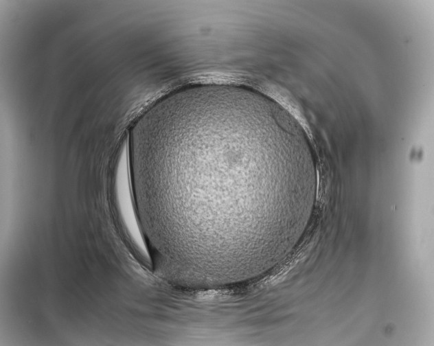 X0000099310109200805161422