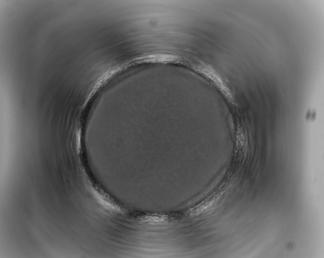 X0000099310110200805161422