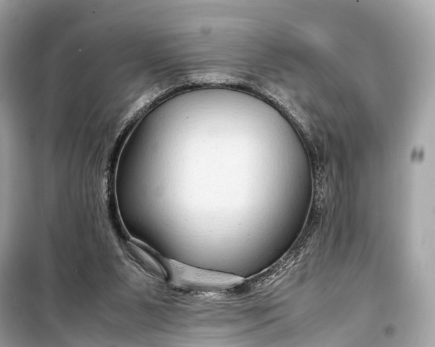 X0000099310111200805161422