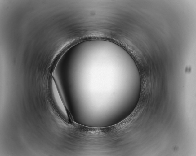 X0000099310112200805161422