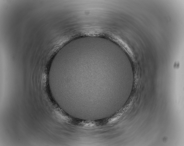 X0000099310113200805161422