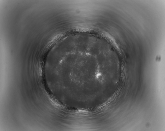 X0000099310114200805161422