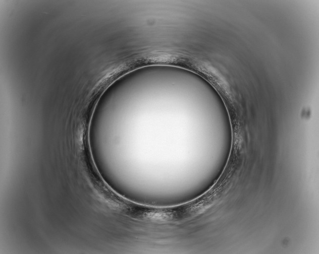 X0000099310115200805161422