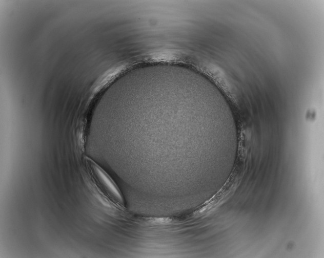 X0000099310116200805161422