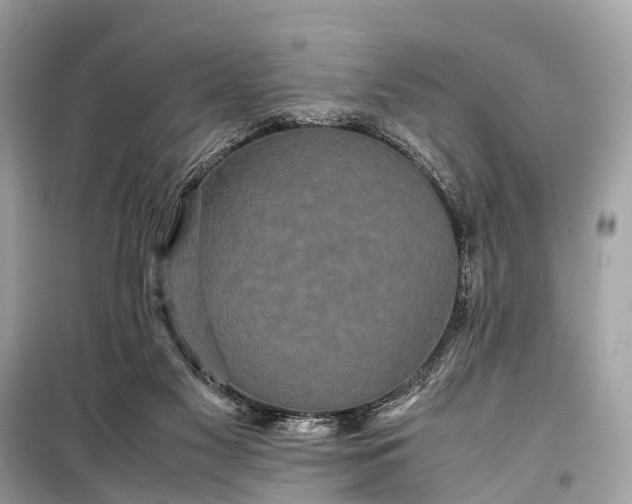 X0000099310117200805161422