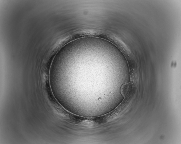 X0000099310119200805161422