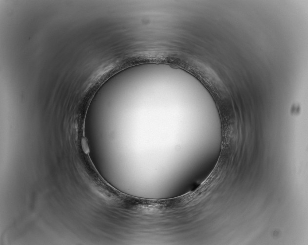 X0000099310120200805161422