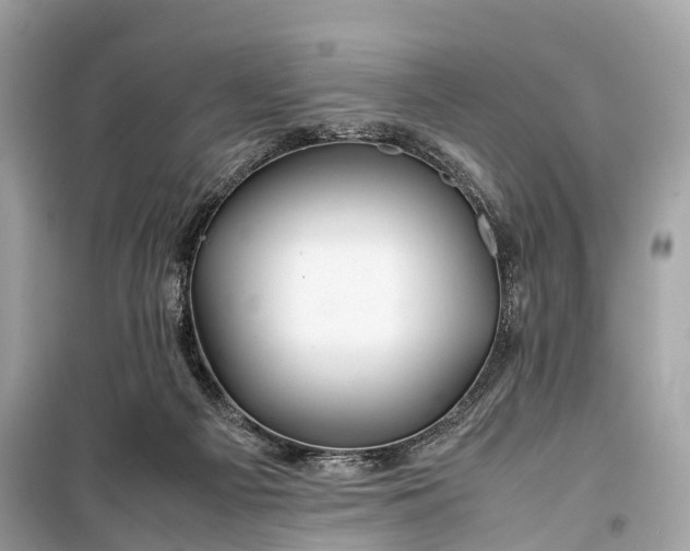 X0000099310121200805161422