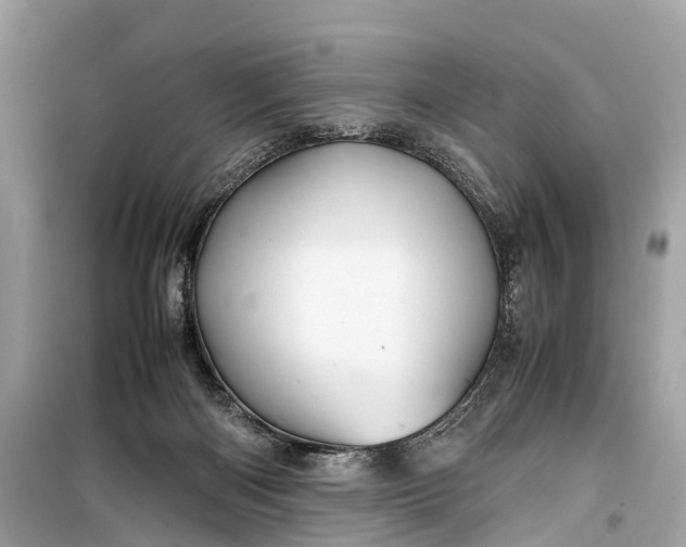 X0000099310122200805161422