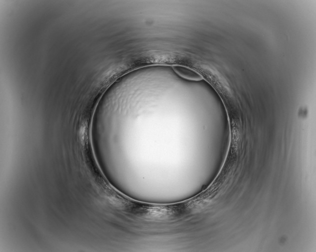 X0000099310123200805161422