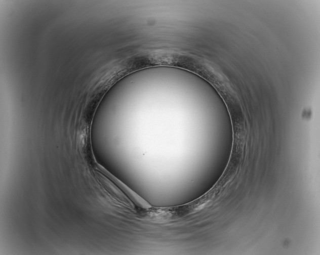 X0000099310125200805161422