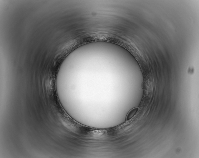 X0000099310126200805161422