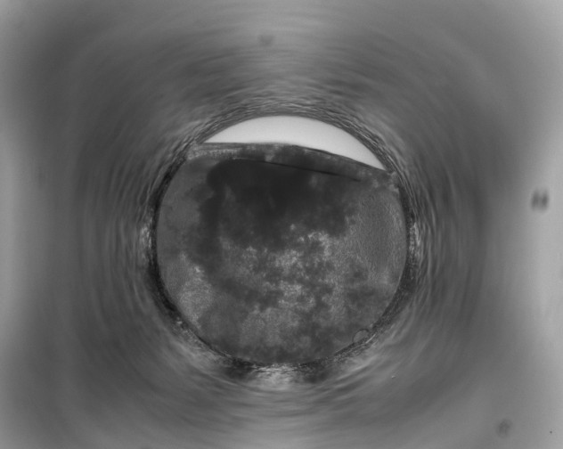 X0000099310127200805161422