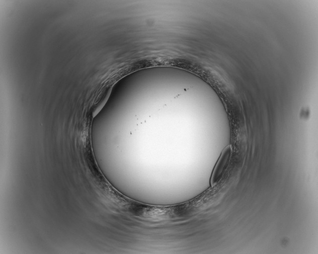 X0000099310129200805161422